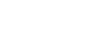 Logo weiss e-Concept
